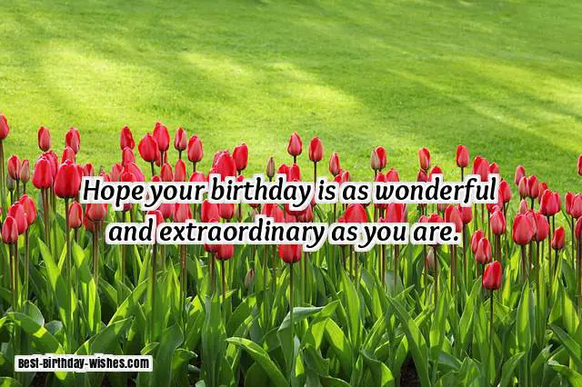 best birthday wishes